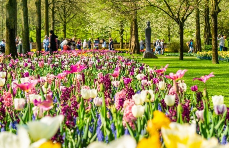 Keukenhof