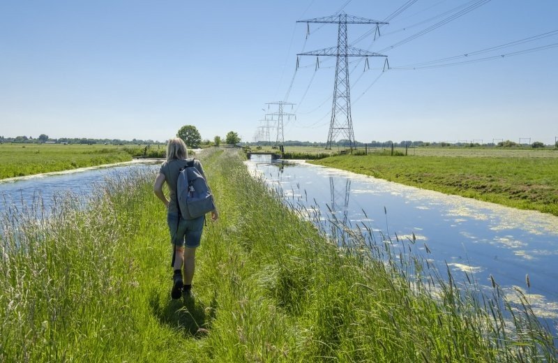 Wandelen